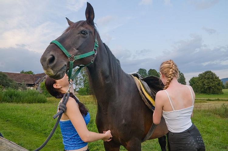 2025-08-BrixovyDvory