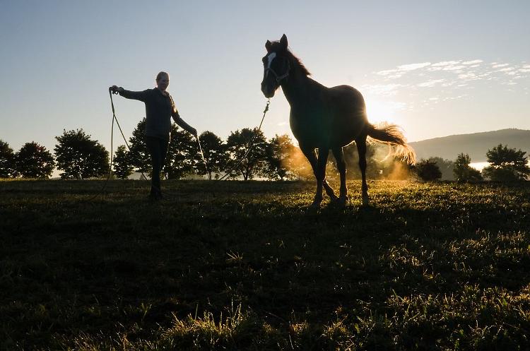 2025-09-BrixovyDvory