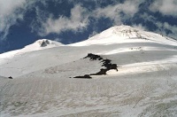 Kavkaz