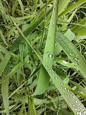 2025-09-15-140632-MD